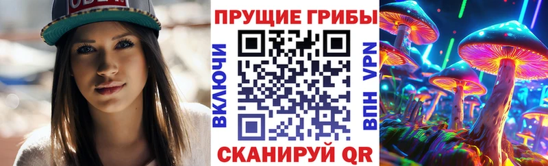 Псилоцибиновые грибы мицелий  Пойковский 